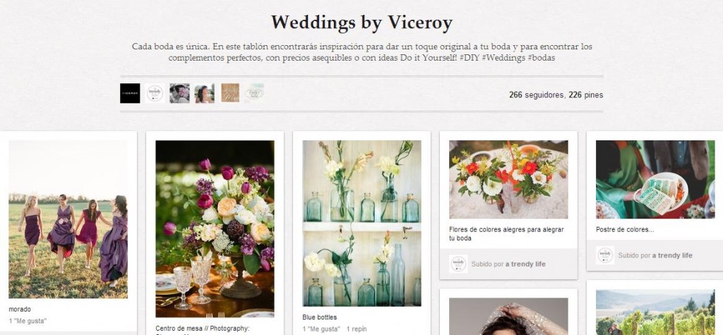 pinterest Viceroy