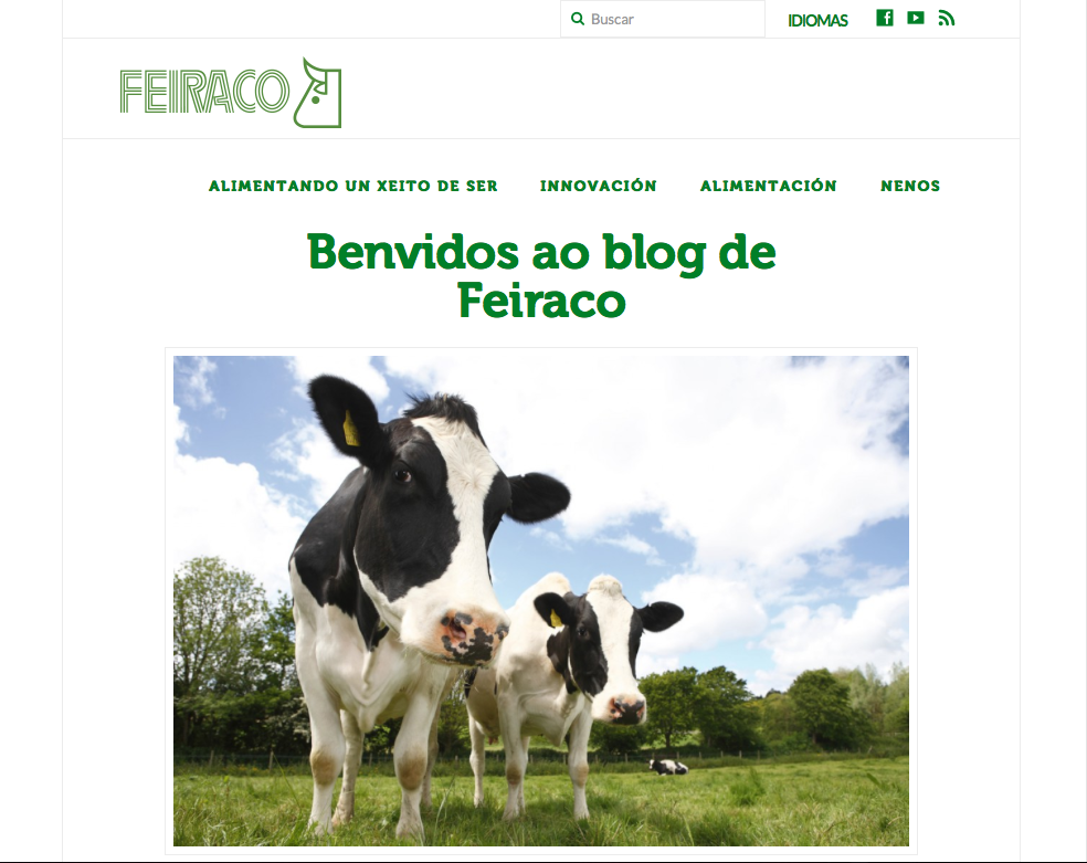 blog feiraco