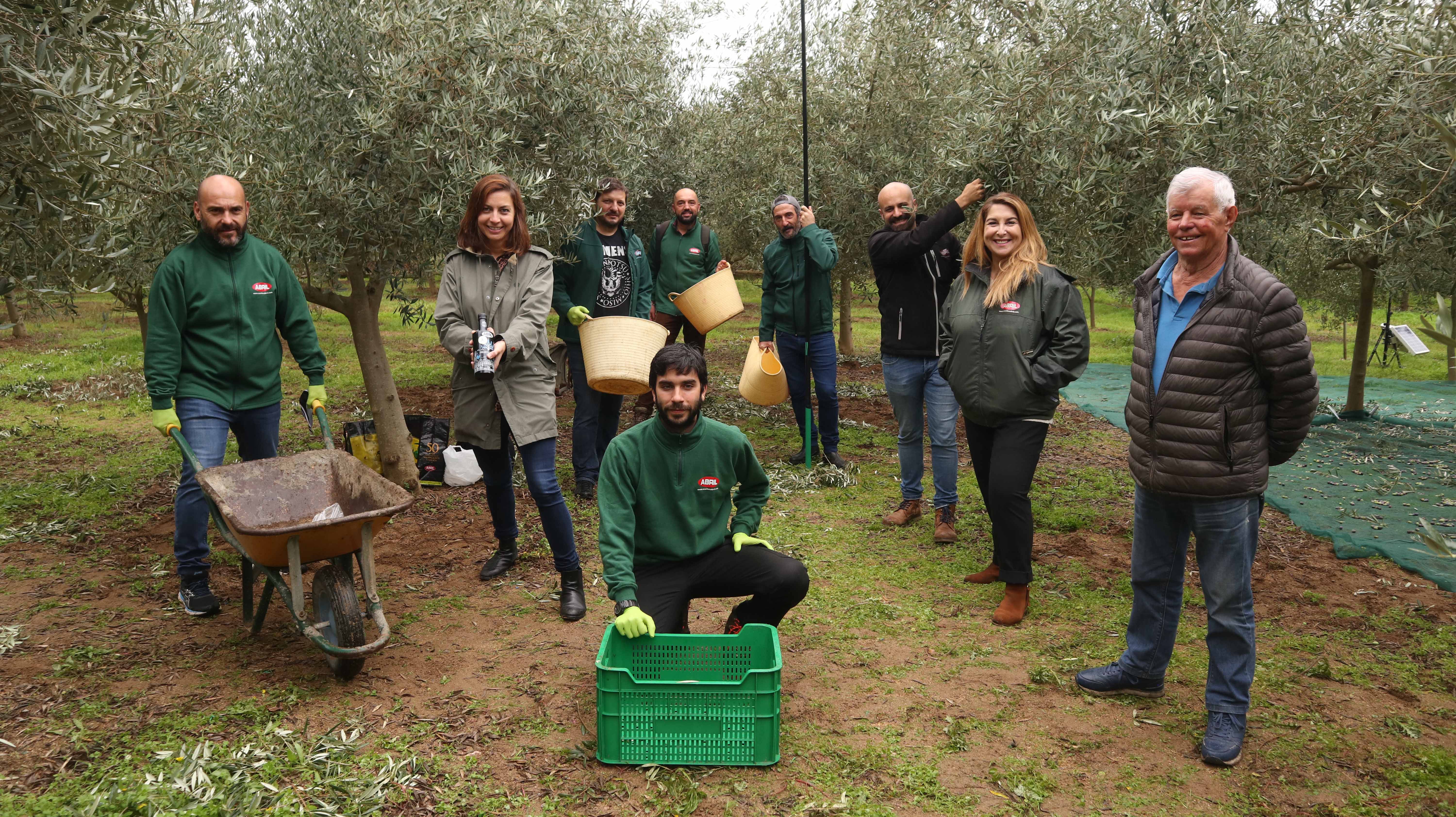 ColleitaPropiaAceitesAbril2020Vareo